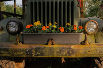Vintage military truck front grill with colorful marigold flowers planted in container on rusty...