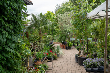 A charming garden center yard filled with various plants, flowers, and shrubs in the warmth of summer sunlight.