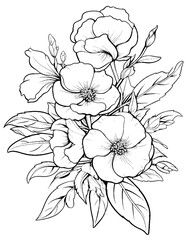 vector illustration of coloring pages