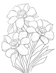 vector illustration of coloring pages