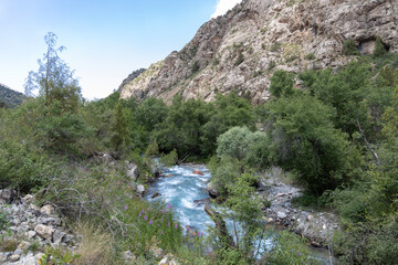 Smooth flowing mountain river captured with long exposure in Sairam-Ugam National Park, Kazakhstan....
