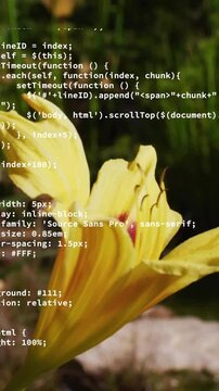 Animation of data processing over yellow flower and bee
