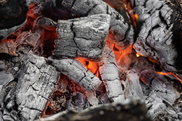 wood in a fire turns into coals. burning coals close up