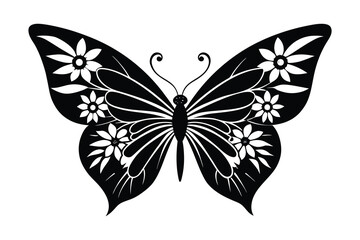 butterfly vector illustration