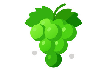grapes vector illustration