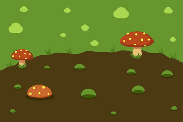 mushrooms in the grass