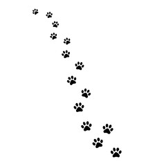 Paw prints creating a path on white background. Paw prints offer guidance and a trail to follow. Paw prints concept for animal rescue, veterinary clinics, or pet adoption services.