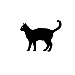 Silhouette of a cat shows feline form against white background. Cat silhouette displays elegant pose, capturing domestic animal’s essence, with cat silhouette emphasizing grace.