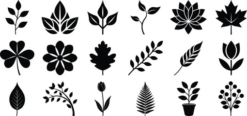Collection of Black and White Botanical Illustrations Featuring Various Leaves Flowers and Plants in Vector Format