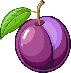 vector illustration of plums