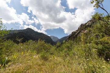 Breathtaking view of summer mountains in Sairam-Ugam National Park under blue sky with clouds....