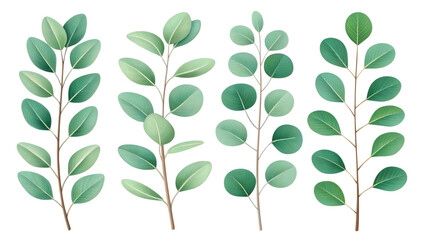 Naklejka premium Eucalyptus branches green leaves isolated on a transparent background botanical illustration