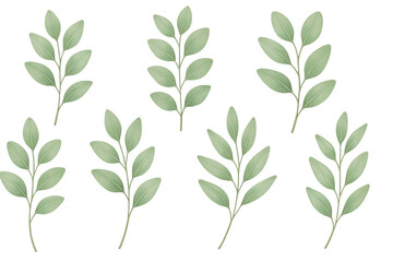 Fototapeta premium Green leaf branches on black background isolated on a transparent background green leaves