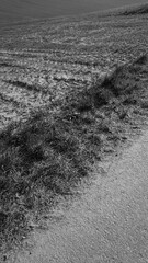 footprints on the beach