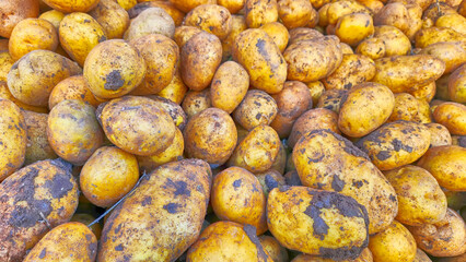 potatoes displayed in the grocery aisle