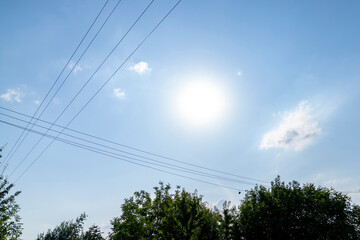 Obraz premium Electric wires, tree crowns. The sun at its zenith, blue sky.