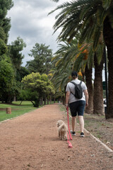 Woman Walking Her Dog on Dirt Trail Surrounded by Palm Trees.