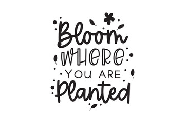  Bloom Where You Are Planted – Encouraging Flower Quote Typography Design