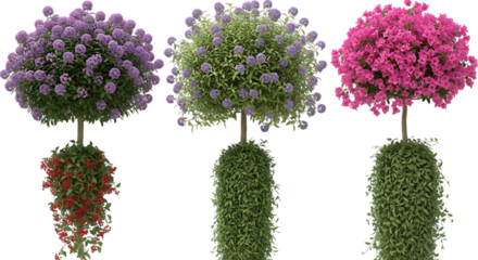 Three decorative topiary trees with colorful flowers and foliage isolated on transparent background