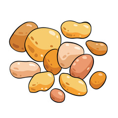 Amber stones isolated vector illustration