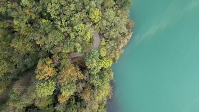 Aerial nature top down aqua blue water Lake Como and forest Italian Alps mountains in Lombardy