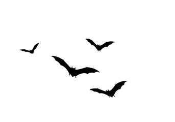 Obraz premium Three black bat silhouettes fly against a stark transparent background