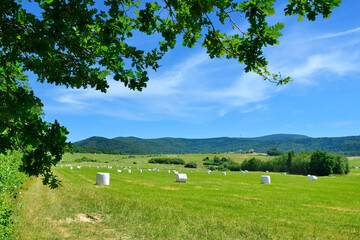 Summer scenic in Low Beskids (Beskid Niski). Haylage bales wrapped in white foil at a green meadow. Food for farm animals during the winter.  Mountain range a Magura Watkowska in the background.