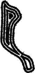A smooth, abstract form made up of concentric, curving lines that flow fluidly and dynamically in an irregular shape.