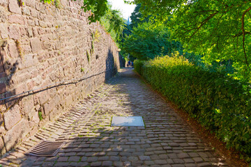 Charming Cobblestone Pathway Surrounded By Lush Greenery In Heidelberg