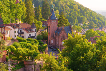 Lush Green Hillside Overlooking Historic Castle in Heidelberg, Germany