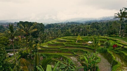 Experience the stunning rice terraces of Bali, where lush green fields meet breathtaking mountains. This serene scenery offers a tranquil escape in natures embrace, ideal for those seeking beauty