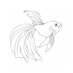 goldfish isolated on white background