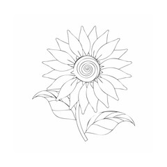 vector illustration of a sunflower