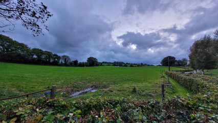 Rural Green Field Landscape with Dramatic Evening Clouds in Countryside © Dmytro Rudenko
