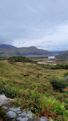 Lush Green Hills and Stone Wall Overlooking Gap of Dunloe, Ireland