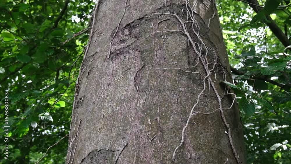 Poster tree trunk with a bird's head carved into it