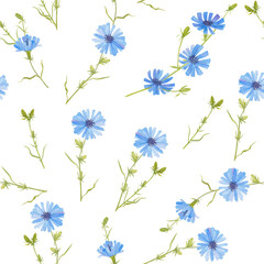 Blue chicory. Seamless watercolor floral pattern on a white background.