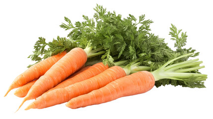 carrots isolated on a white background , transparent
png 