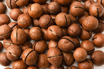Macadamia nuts in a shell isolated on a white background.