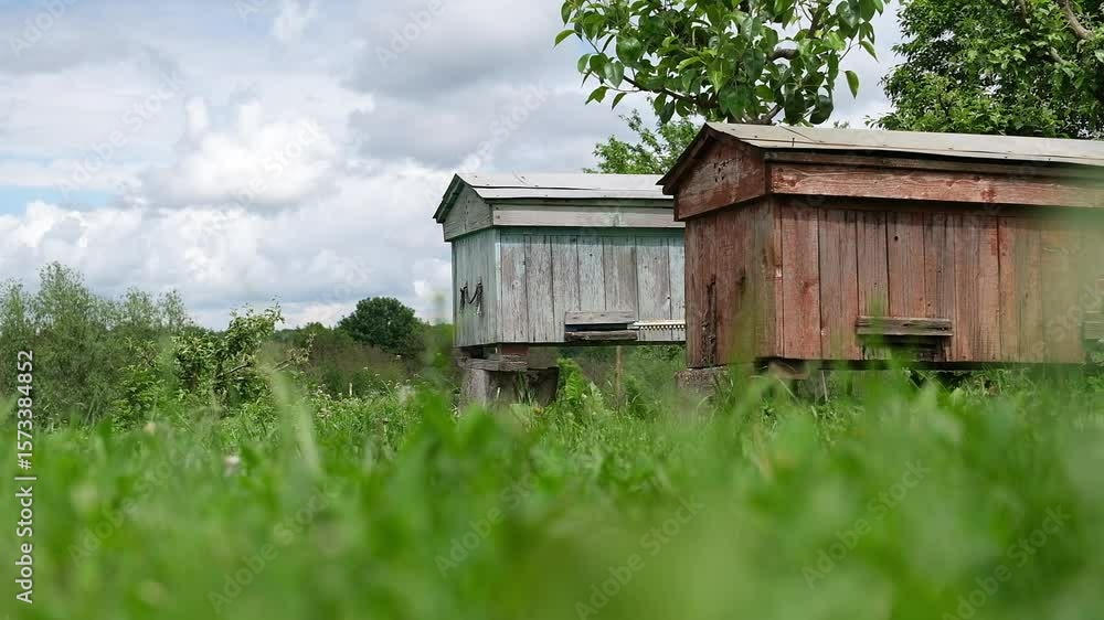 Poster two bee hives are in a field with a cloudy sky in the background