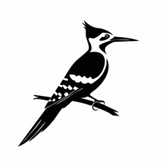 woodpecker bird black silhouette vector, Simple silhouette Design vector icon with white background. Wild Animal Vector. Bird Vector