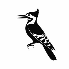 woodpecker bird black silhouette vector, Simple silhouette Design vector icon with white background. Wild Animal Vector. Bird Vector