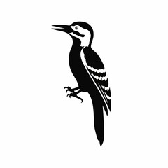 woodpecker bird black silhouette vector, Simple silhouette Design vector icon with white background. Wild Animal Vector. Bird Vector