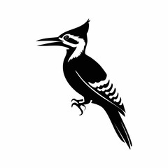 woodpecker bird black silhouette vector, Simple silhouette Design vector icon with white background. Wild Animal Vector. Bird Vector