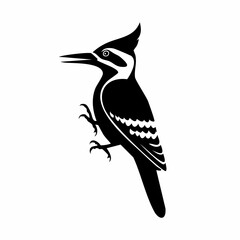woodpecker bird black silhouette vector, Simple silhouette Design vector icon with white background. Wild Animal Vector. Bird Vector