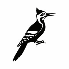 woodpecker bird black silhouette vector, Simple silhouette Design vector icon with white background. Wild Animal Vector. Bird Vector