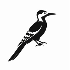 woodpecker bird black silhouette vector, Simple silhouette Design vector icon with white background. Wild Animal Vector. Bird Vector