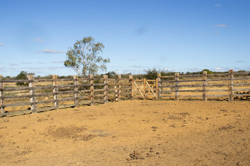 dry landscape of the backlands with a large corral