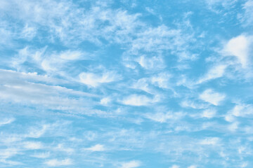 青空に広がる巻積雲 / Cirrocumulus clouds spreading across the blue sky