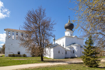 White Dormition Church and belfry (16th century) glowing in spring  sunlight. First greenery on trees under blue sky. Pskov, Russia.